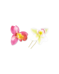 Bijou Brigitte Barrette- Orchid Double Hot