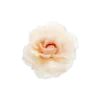 Bijou Brigitte Barrette - Peach Blossom Clearance