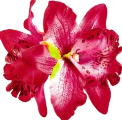 Bijou Brigitte Barrette - Tropical Flower New
