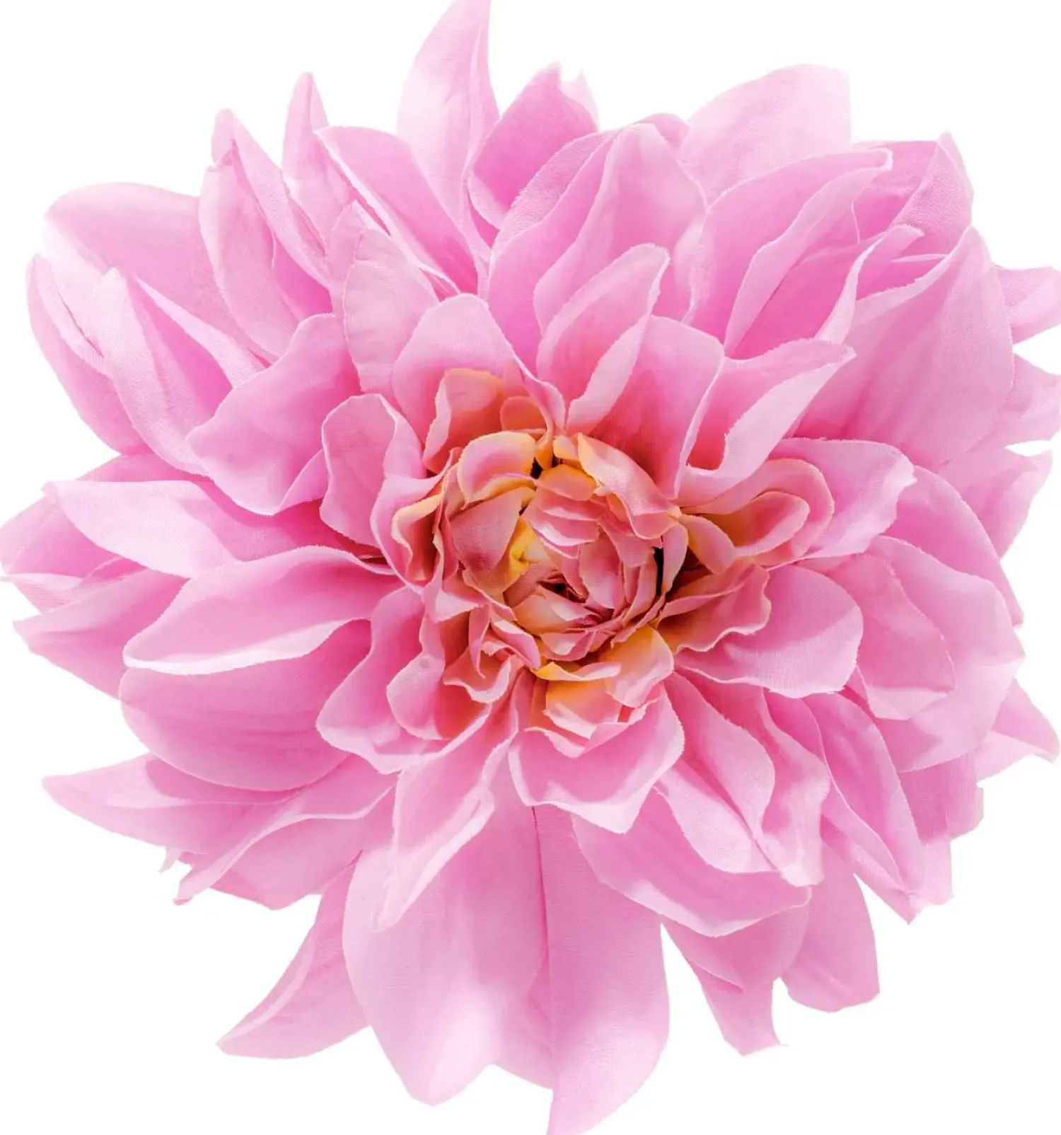Bijou Brigitte Barrette - Wonderful Flower Sale