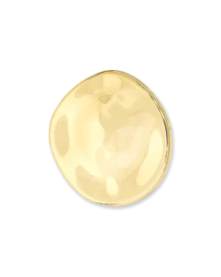 Bijou Brigitte Broche - Hammered Circle Online