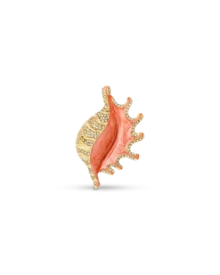 Bijou Brigitte Broche - Orange Shell Sale