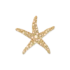 Bijou Brigitte Broche - Pearly Star