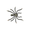 Bijou Brigitte Broche - Spooky Sparkle Best