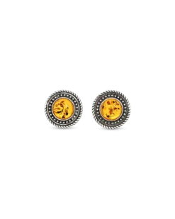 Bijou Brigitte Clous d'oreilles - Awesome Amber