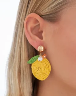 Bijou Brigitte Clous d'oreilles - Big Lemon New