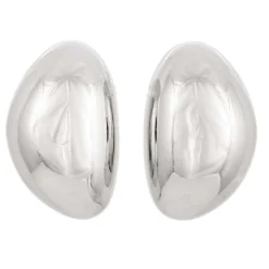 Bijou Brigitte Clous d'oreilles - Irregular Silver Hot