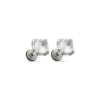 Bijou Brigitte Clous d'oreilles pour homme - Bold Shine New