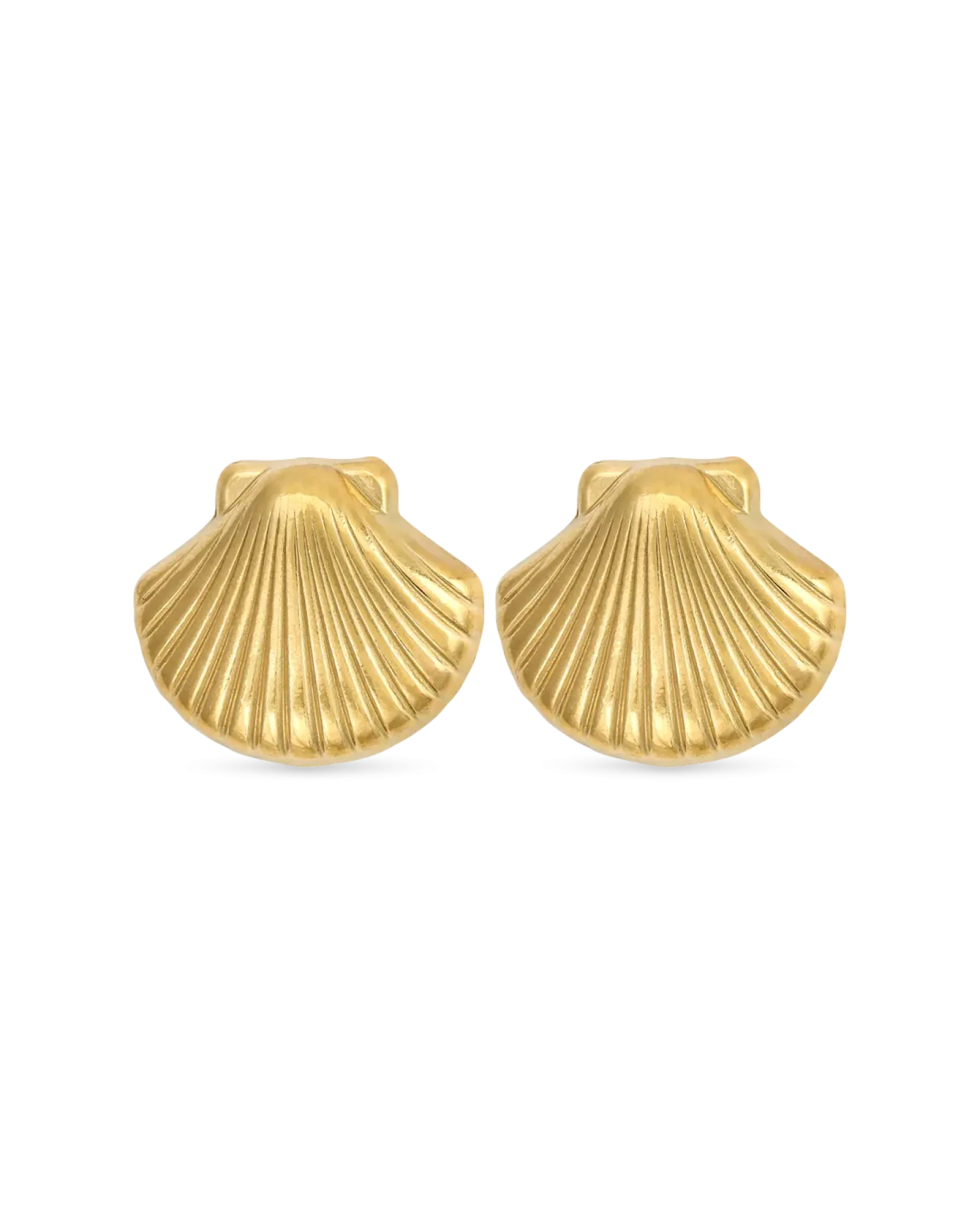 Bijou Brigitte Clous d'oreilles - Steel Shell