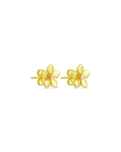 Bijou Brigitte Clous d'oreilles - Zirconia Blossom New