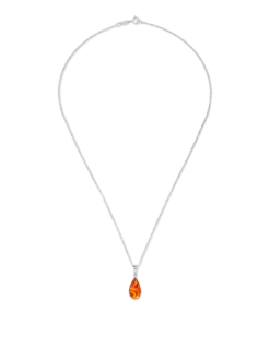 Bijou Brigitte Collier - Elegant Amber Best