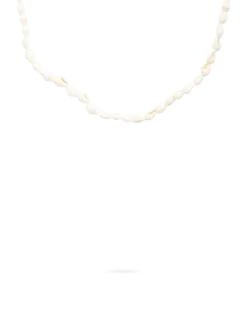 Bijou Brigitte Collier - Real Shells