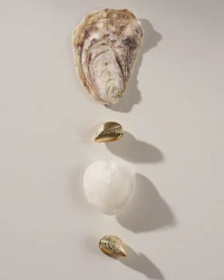 Bijou Brigitte Créoles - Golden Shells Discount