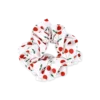 Bijou Brigitte Elastique á cheveux - Soft Cherry New