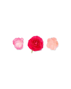 Bijou Brigitte Ensemble de barrettes - Pink Flowers Discount