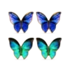 Bijou Brigitte Ensemble de clous d'oreilles - Blue Wings Sale