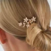 Bijou Brigitte Ensemble de peignes - Sparkling Bloom Hot