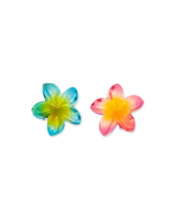 Bijou Brigitte Ensemble de pinces à cheveux - Aloha Summer Clearance