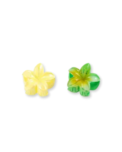 Bijou Brigitte Ensemble de pinces á cheveux - Glossy Flowers Clearance