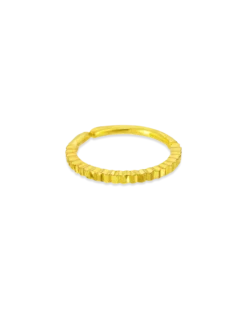 Bijou Brigitte Piercing - Golden Circle Hot