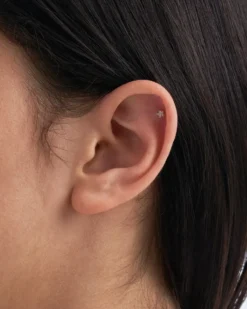 Bijou Brigitte Piercing - Silver Star Online