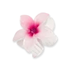 Bijou Brigitte Pince à cheveux - Aloha Spring Clearance