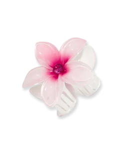Bijou Brigitte Pince à cheveux - Aloha Spring Clearance