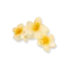 Bijou Brigitte Pince à cheveux - Aloha Yellow