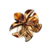 Bijou Brigitte Pince à cheveux - Brown Summer Clearance