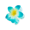 Bijou Brigitte Pince à cheveux - Ocean Flower Discount