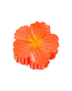 Bijou Brigitte Pince à cheveux - Orange Summer New