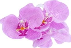 Bijou Brigitte Pince à cheveux - Purple Orchid Best