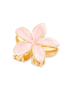 Bijou Brigitte Pince à cheveux - Rose Aloha Discount