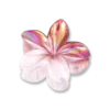 Bijou Brigitte Pince à cheveux - Shiny Flower Outlet