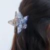 Bijou Brigitte Pince à cheveux - Smoky Star Best