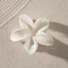 Bijou Brigitte Pince à cheveux - White Aloha Online