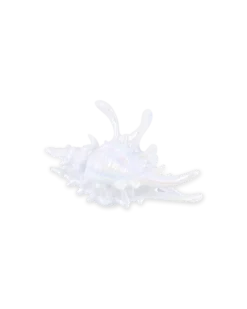 Bijou Brigitte Pince à cheveux - White Conch Hot
