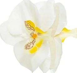 Bijou Brigitte Pince à cheveux - White Orchid Sale