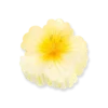 Bijou Brigitte Pince à cheveux - Yellow Blossom New